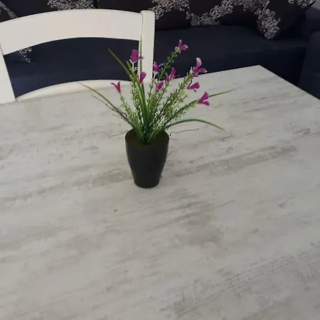 Apartment Zoga *